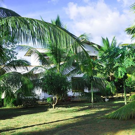 Hotel Coconut Garden House Udawalawe Zewnętrze zdjęcie