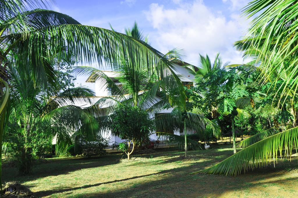 Hotel Coconut Garden House Udawalawe Zewnętrze zdjęcie