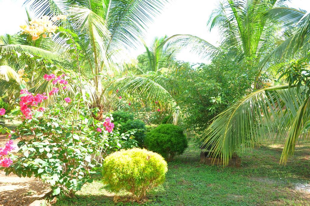 Hotel Coconut Garden House Udawalawe Zewnętrze zdjęcie