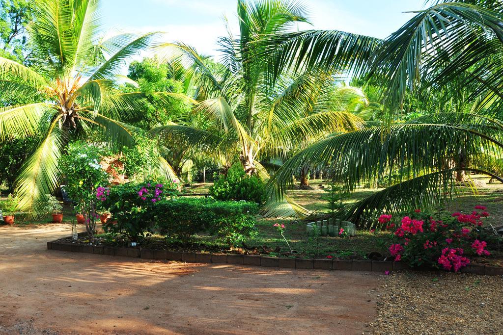 Hotel Coconut Garden House Udawalawe Zewnętrze zdjęcie
