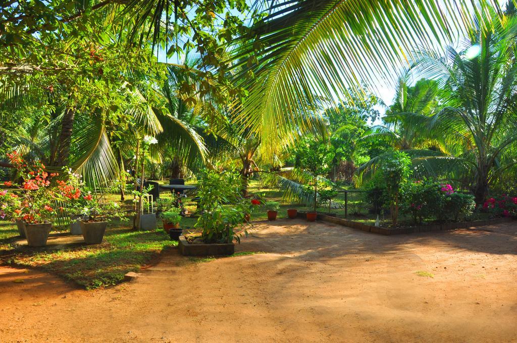Hotel Coconut Garden House Udawalawe Zewnętrze zdjęcie