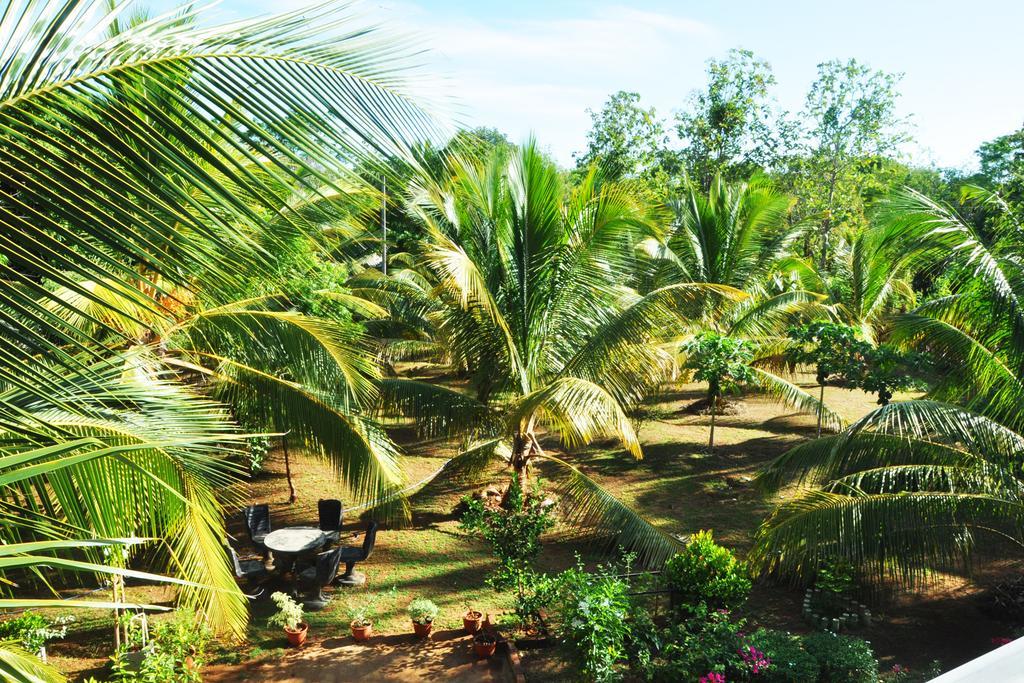 Hotel Coconut Garden House Udawalawe Zewnętrze zdjęcie